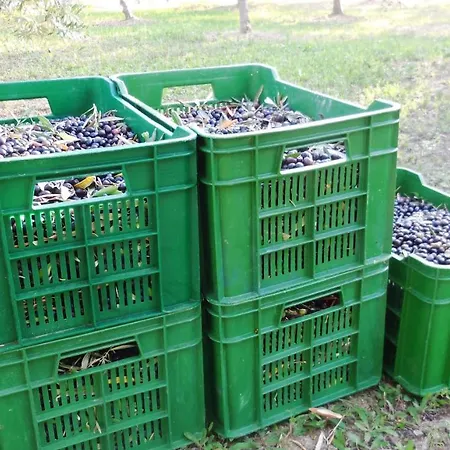 Bed & Breakfast Jake's Place Atessa