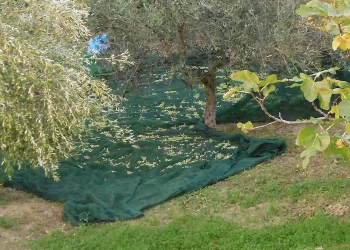 Jake's Place Отель типа 