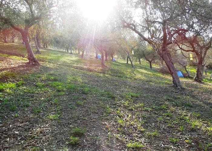 Jake's Place Отель типа 