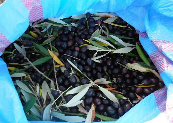 Jake's Place Отель типа 