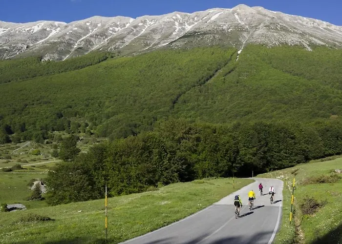 Jake's Place Отель типа 