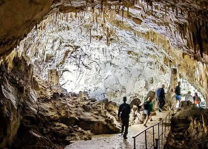 Jake's Place Отель типа 